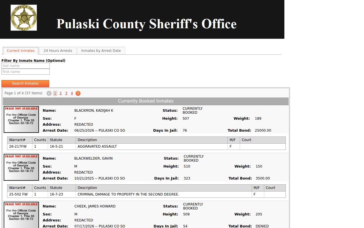 Pulaski County jail portal optional name filter and roster navigation